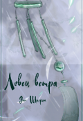 Обложка книги "Ловец ветра"