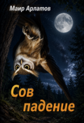 Обложка книги "Сов Падение"