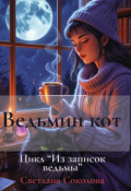 Обложка книги "Ведьмин кот."