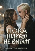 Обложка книги "Пока никто не видит "