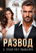 Обложка книги "Развод. У тебя нет выбора"