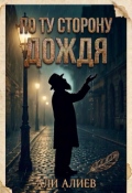 Обложка книги "По ту сторону дождя"