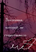 Обложка книги "Вселенная, которой не существовало."