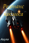 Обложка книги "Резонанс космоса"