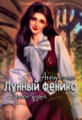 Обложка книги "Академия Лунный Феникс. Зеркало души"