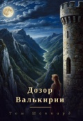 Обложка книги "Дозор валькирии"