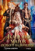 Обложка книги "Хроники драконов, часть 3: Академия Магов Особого Назначения"