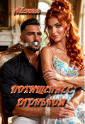 Обложка книги "Похищение с огоньком"