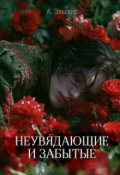 Обложка книги "Неувядающие и забытые"