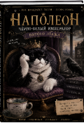 Обложка книги "Наполеон.История завоевания тёти Вали."