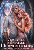 Обложка книги "Ласточка в Академии Штормового ветра"