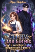 Обложка книги "Стрим для Богов: Я готовлю в подземелье S-ранга"