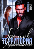 Обложка книги "Громов. Территория одержимости"