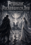 Обложка книги "Резонанс Распавшихся Душ"
