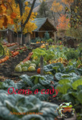 Обложка книги "Осень в саду"