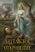 Обложка книги "Ангельское Откровение"