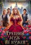 Обложка книги "Третий муж не нужен"