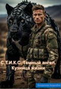 Обложка книги "С.Т.И.К.С. Темный ангел. Кузница жизни."