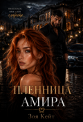 Обложка книги "Пленница Амира"
