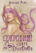 Обложка книги "Сокровище двух драконов"
