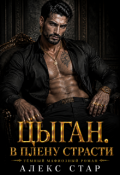 Обложка книги "Цыган"