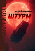 Обложка книги "Штурм"