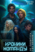 Обложка книги "Хроники звезданутой команды. Не садитесь, где попало"