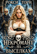 Обложка книги "Некромант на выселках"