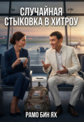 Обложка книги "Случайная стыковка в Хитроу"