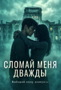 Обложка книги "Сломай меня дважды"