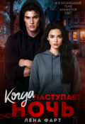 Обложка книги "Когда наступает ночь"