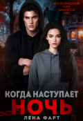 Обложка книги "Когда наступает ночь"