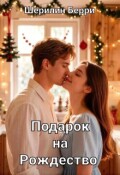 Обложка книги "Подарок на Рождество"
