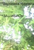 Обложка книги "Зашибись!"