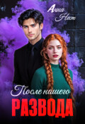 Обложка книги "После нашего развода"