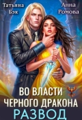 Обложка книги "Развод. Во власти Черного дракона"