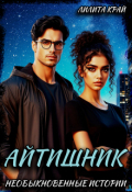 Обложка книги "Айтишник"
