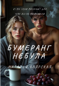 Обложка книги "Бумеранг Небула"