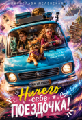 Обложка книги "Ничего себе поездочка!"