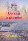 Обложка книги "Белка в колесе"