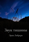 Обложка книги "Звук тишины"