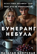 Обложка книги "Бумеранг Небула"