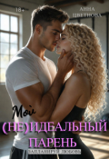 Обложка книги "Мой (не)идеальный парень"