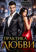 Обложка книги "Практика любви"