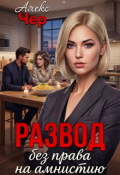 Обложка книги "Развод без права на амнистию"