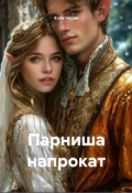 Обложка книги "Парниша напрокат"