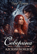 Обложка книги "Северина и Адский Кондор"