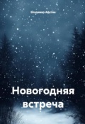 Обложка книги "Новогодняя встреча"