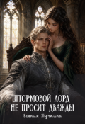 Обложка книги "Штормовой лорд не просит дважды"