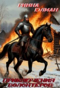 Обложка книги "Приключения волонтёров"